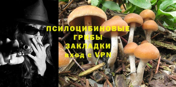 круглые Бородино