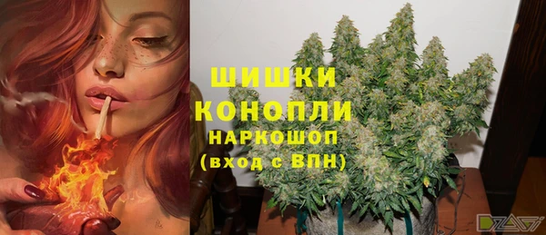 круглые Бородино