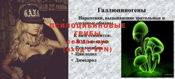 спиды Бронницы