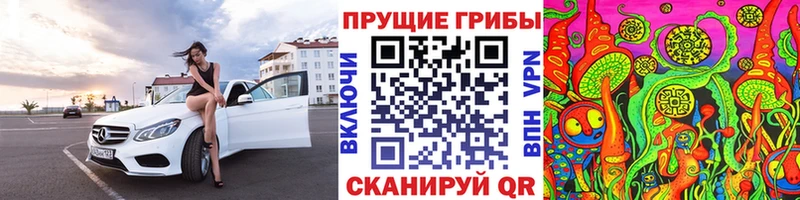 Псилоцибиновые грибы Psilocybe Новочебоксарск
